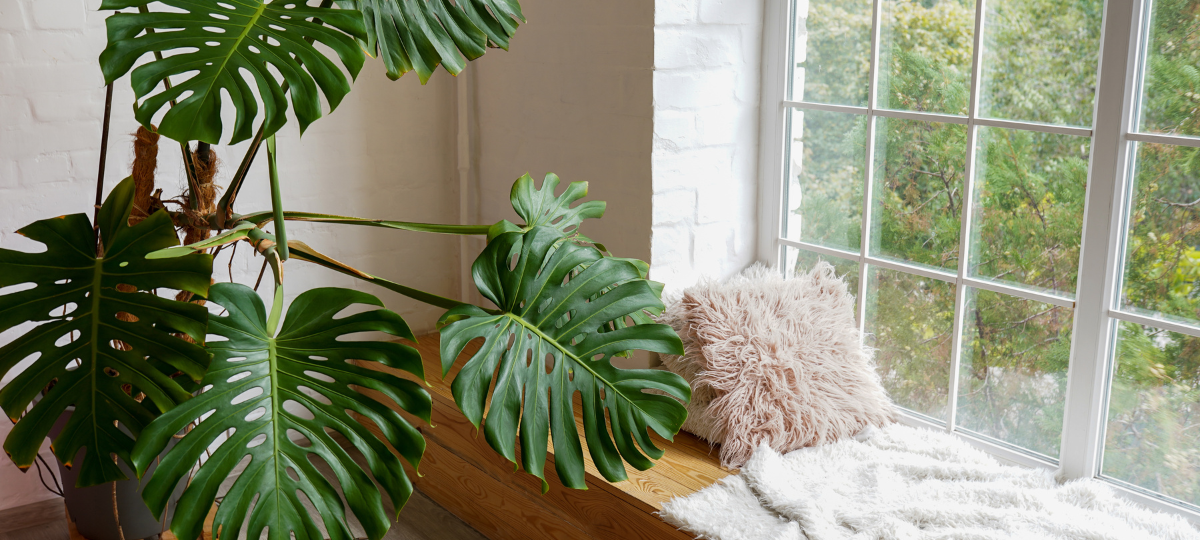 Home Window Tint in Vashon Island